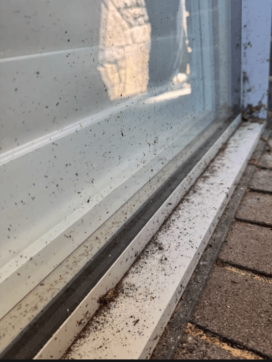 Window before cleaning