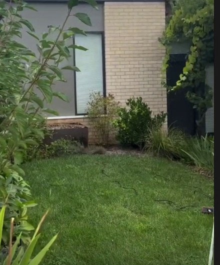 Modern rear elevation, post-wash